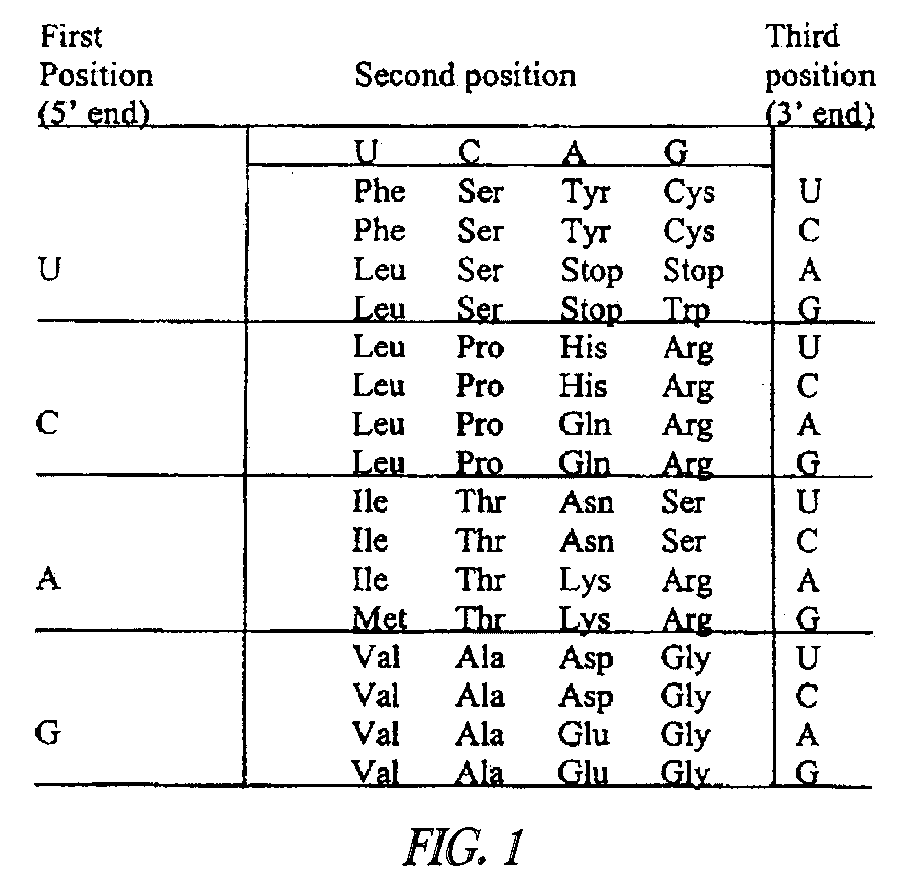 Synthetic nucleic acid molecule compositions and methods of preparation