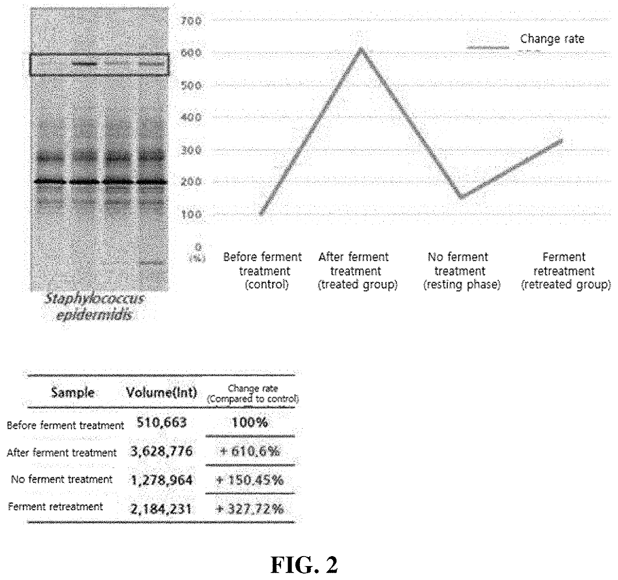 Bifidobacterium animalis subsp. lactis gfc-b09 strain and cosmetic composition containing same