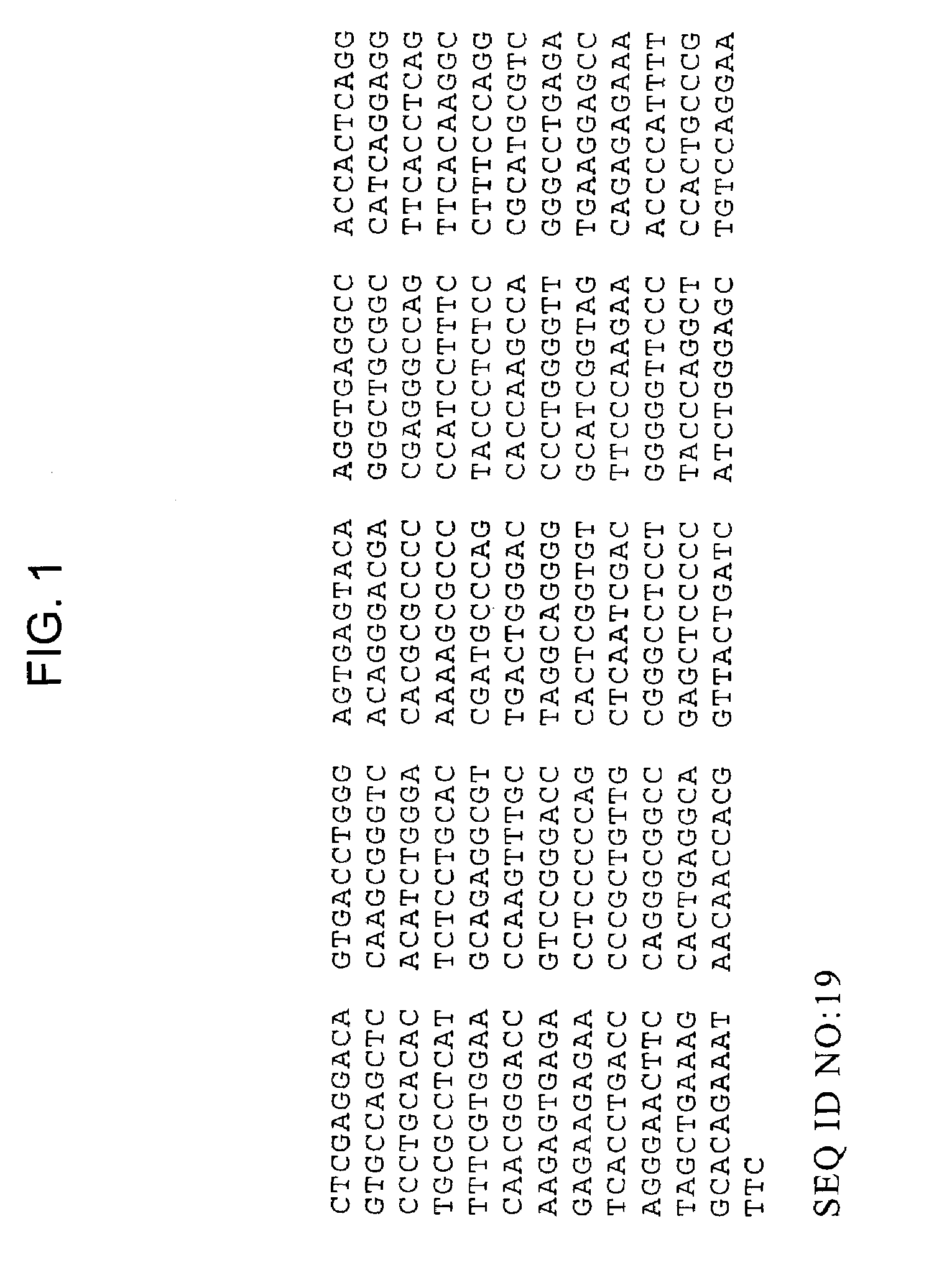 Methods of identifying compounds that modulate IL-4 receptor-mediated IgE synthesis utilizing a c-MYC protein