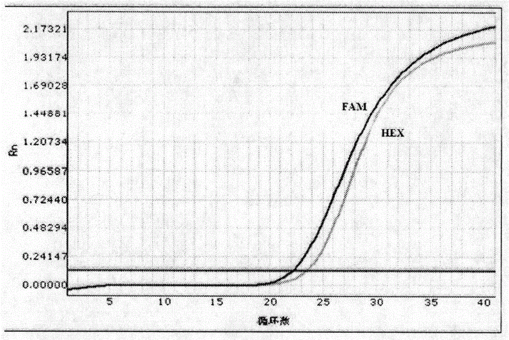 Kit for detecting human ABCC4 gene polymorphism and application thereof