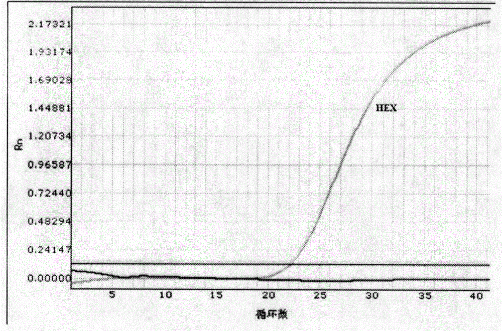 Kit for detecting human ABCC4 gene polymorphism and application thereof