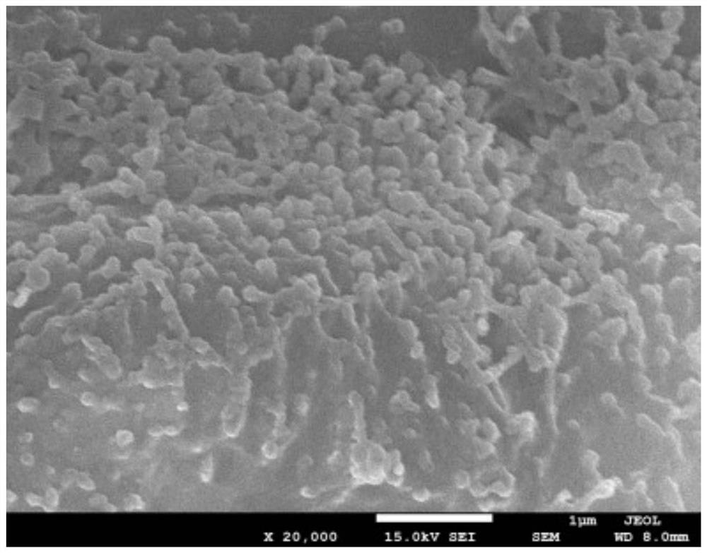 A lithium-sulfur battery cathode copolymerized sulfur material and a lithium-sulfur battery made of it