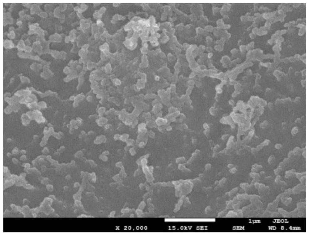 A lithium-sulfur battery cathode copolymerized sulfur material and a lithium-sulfur battery made of it