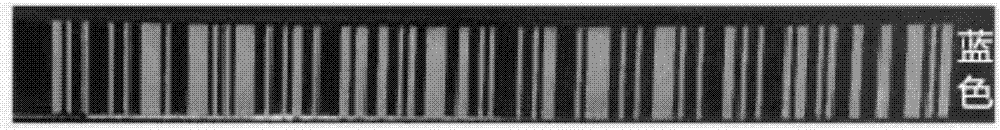 Polypropylene material capable of being subjected to colored laser carving and preparation method of polypropylene material