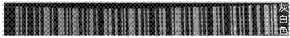 Polypropylene material capable of being subjected to colored laser carving and preparation method of polypropylene material