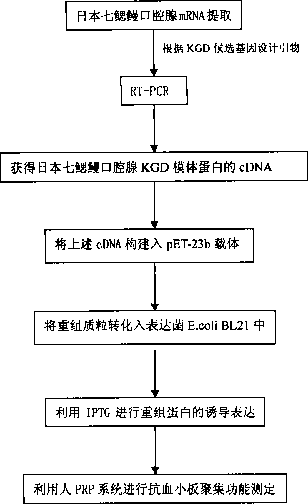 Gene clone of and expression Japan lamprey oral cavity gland KGD model protein possessing anti thrombotic action