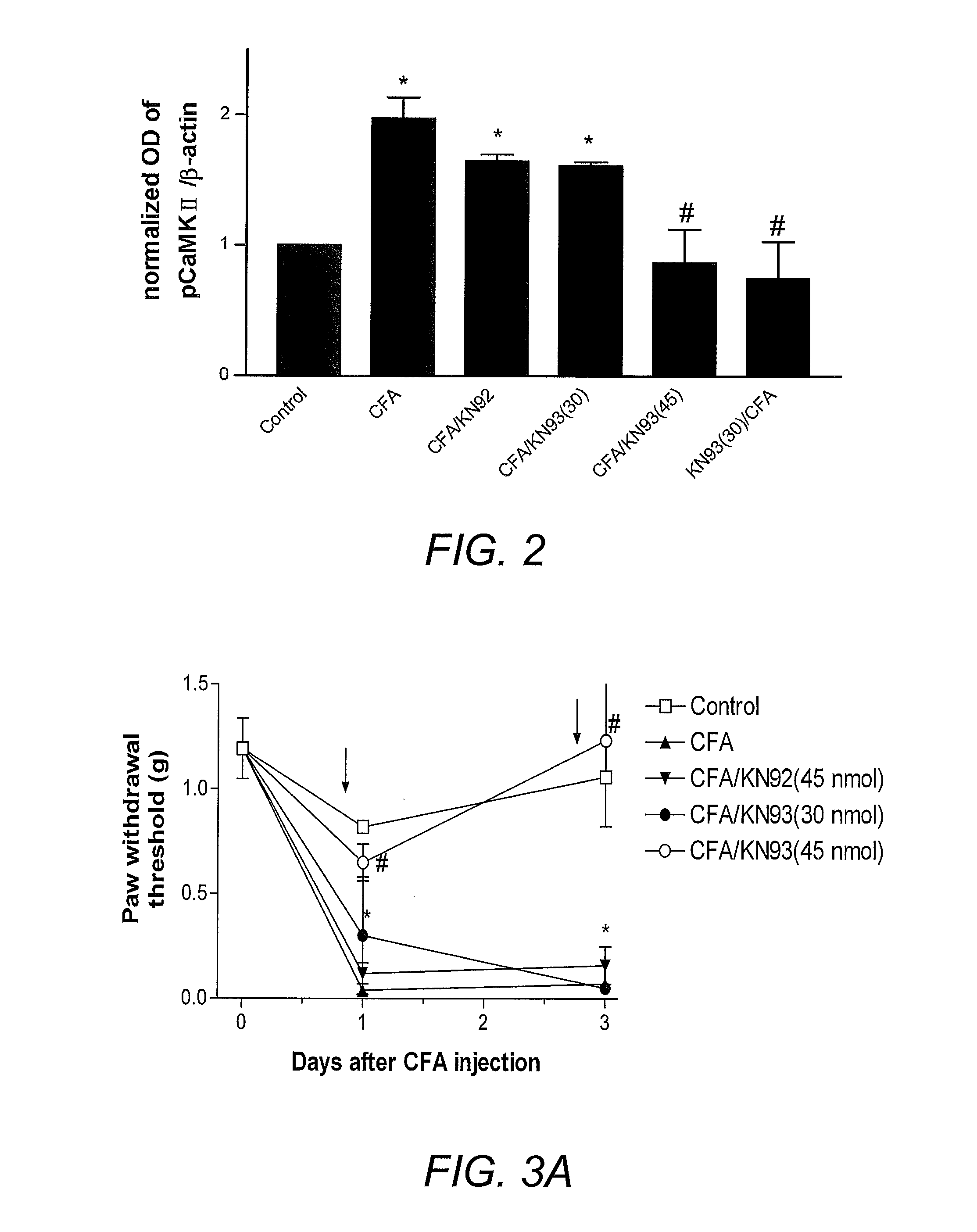 Method for Treating Pain with a Calmodulin Inhibitor