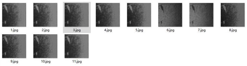 Adaptive multi-focus restoration method based on plankton digital holographic images