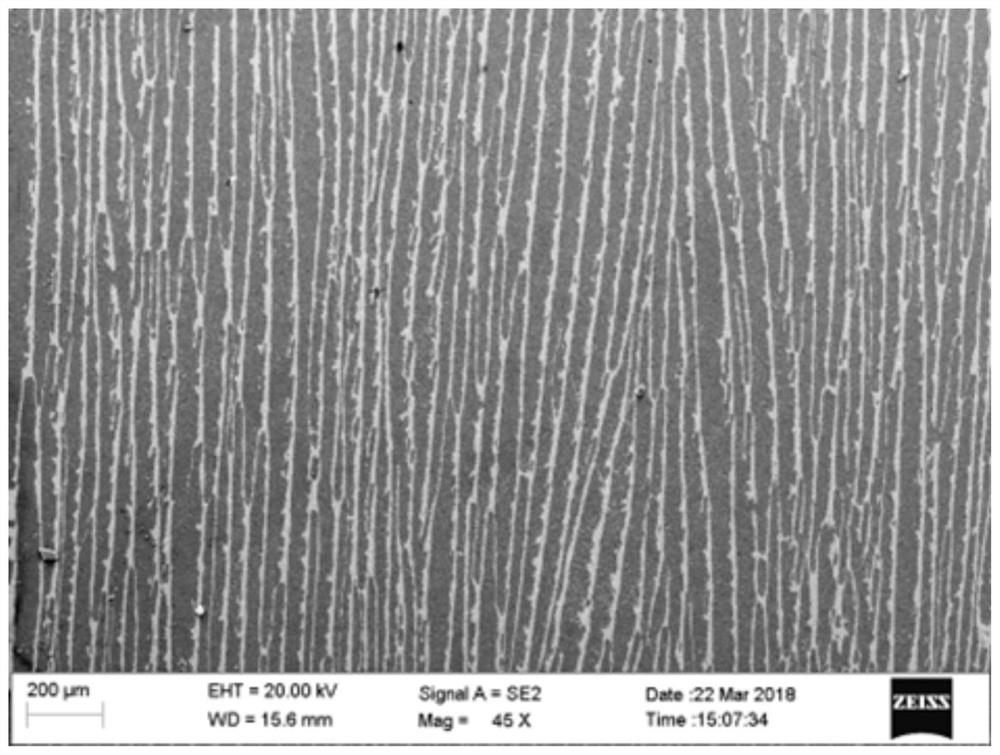 Zirconia/resin biomimetic composite material for dentures and preparation method thereof