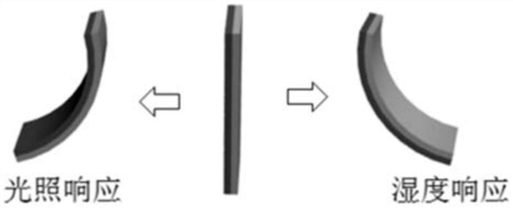 An asymmetric structure paper-based graphene smart film integrating sensing and driving, preparation method and application