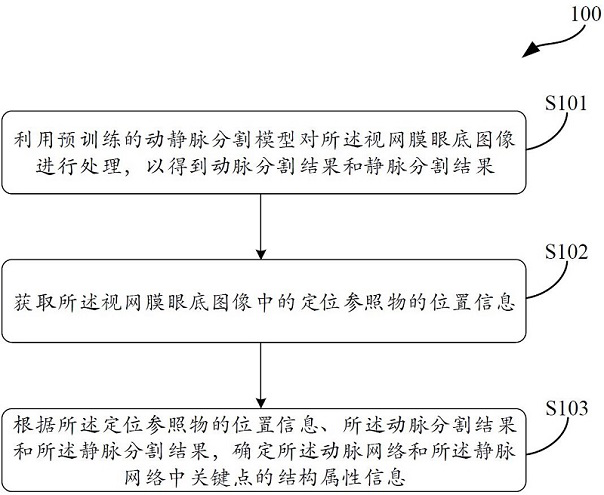 Method for analyzing retinal fundus images and related products