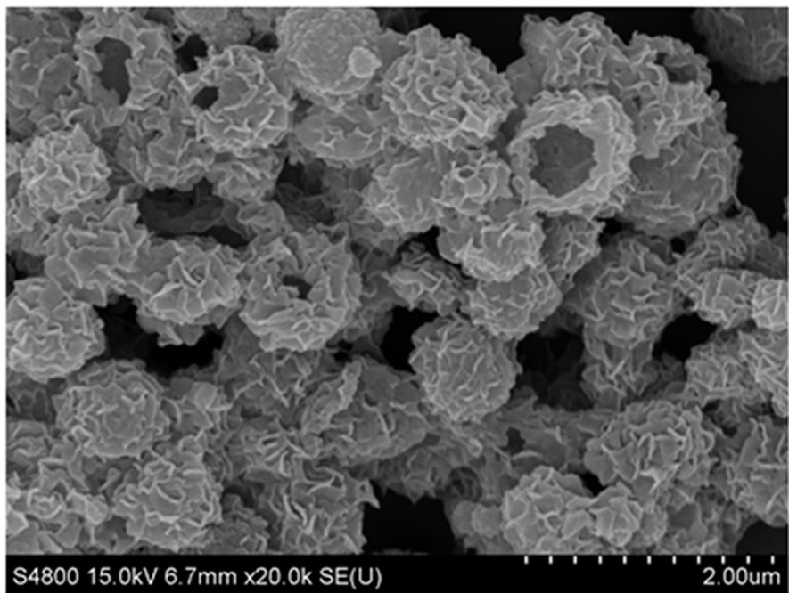 Indium sulfide nanoparticle modified labeled electrochemical immunosensor and electrochemical immunoassay method thereof