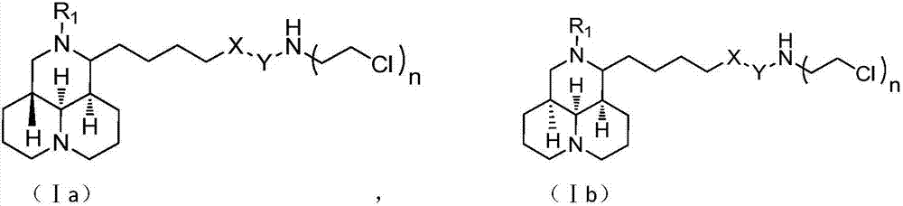 Sophoridine derivative with nitrogen mustard as well as preparation method and application of sophoridine derivative