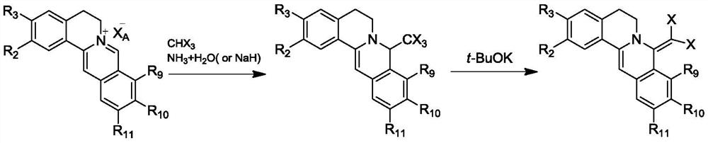 8-dihalogenomethylene dihydroberberine type compound and its anti-infection and anti-inflammation application