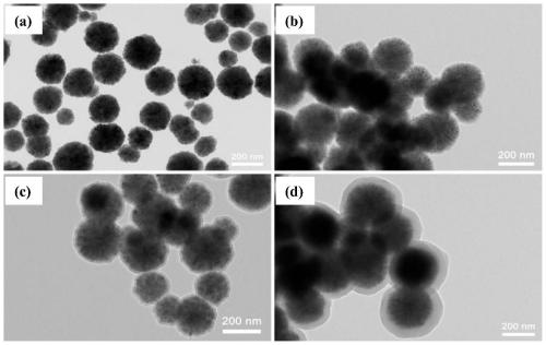 Preparation method and application of polydopamine-modified magnetic nanoparticle
