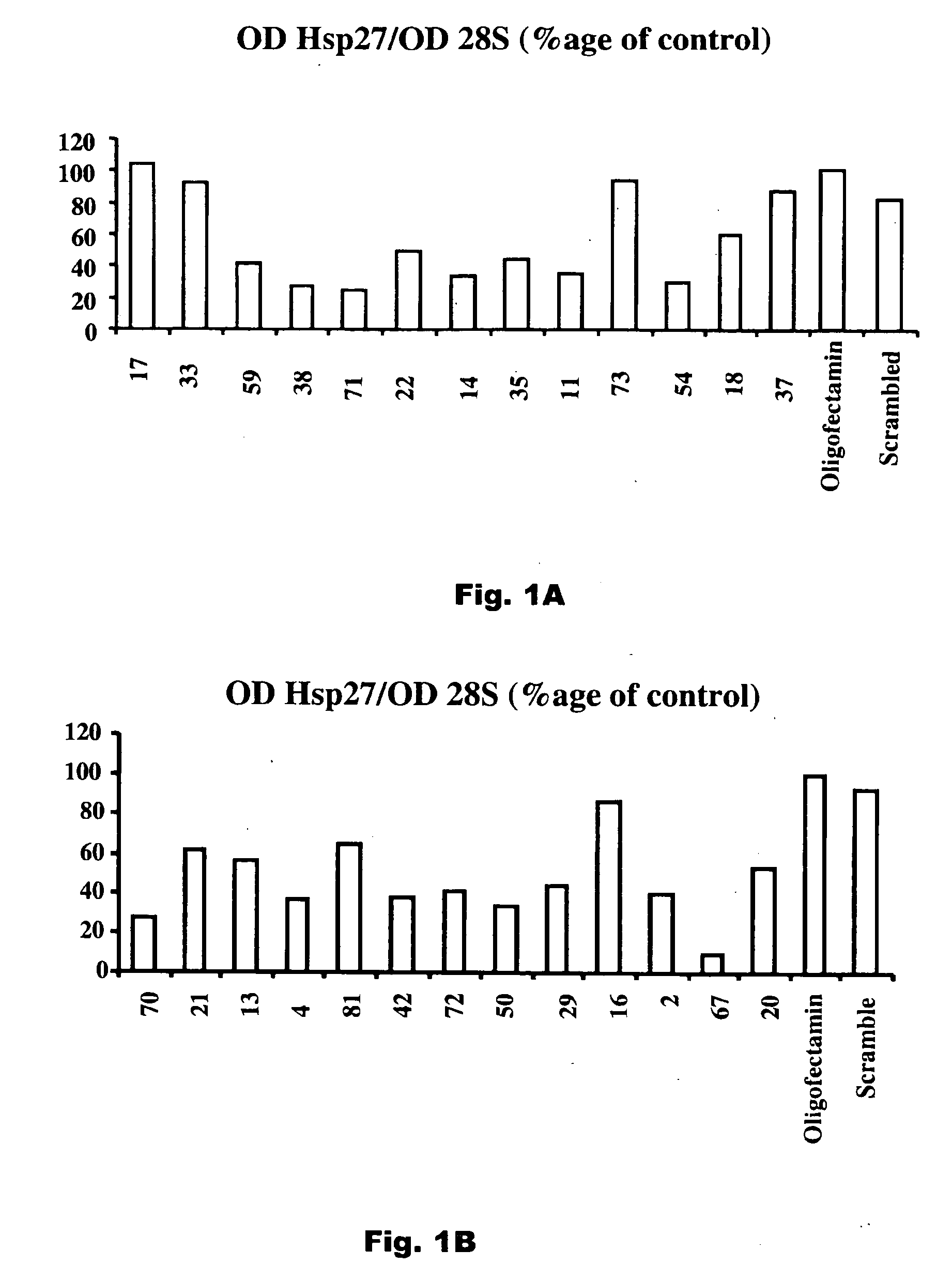 Compositions and methods for treatment of prostate and other cancers