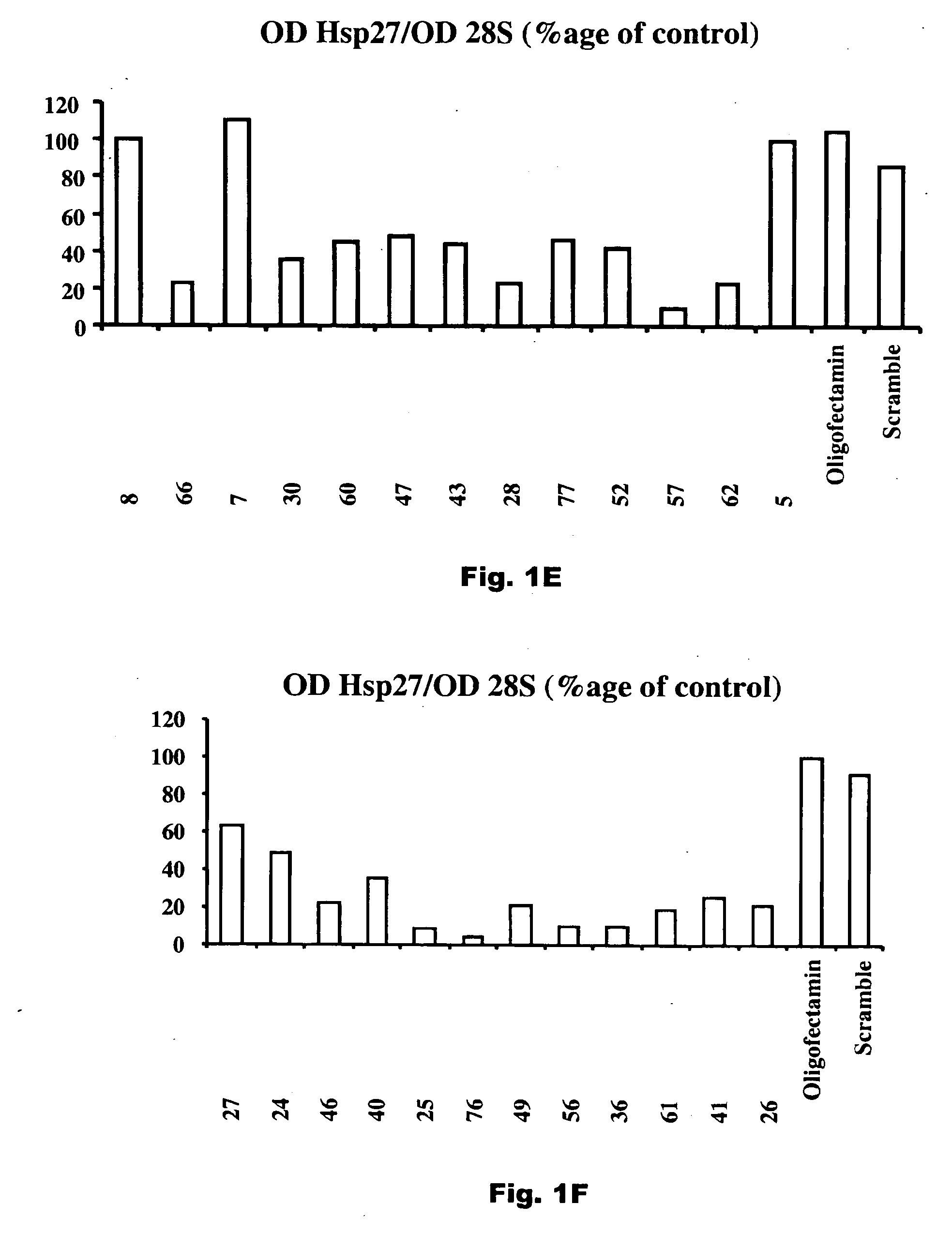 Compositions and methods for treatment of prostate and other cancers