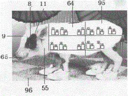 Multi-functional temperature display, control and prompt system