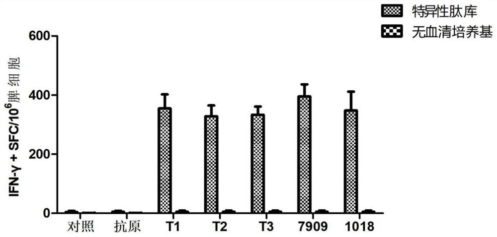 Pharmaceutical composition and application thereof