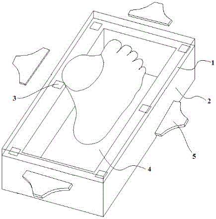 Foot sole and foot shape scanning method