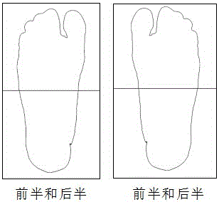 Foot sole and foot shape scanning method