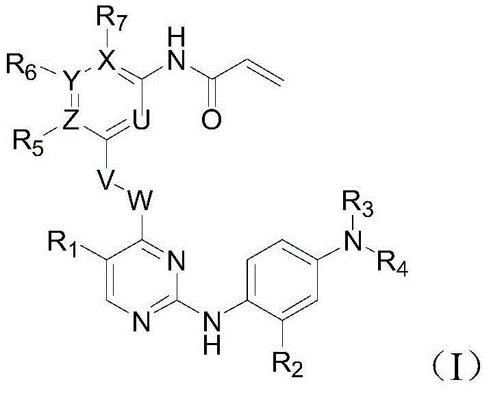 T790M mutant epidermal growth factor receptor (EGFR) inhibitor and application of same in preparation of antitumor drugs