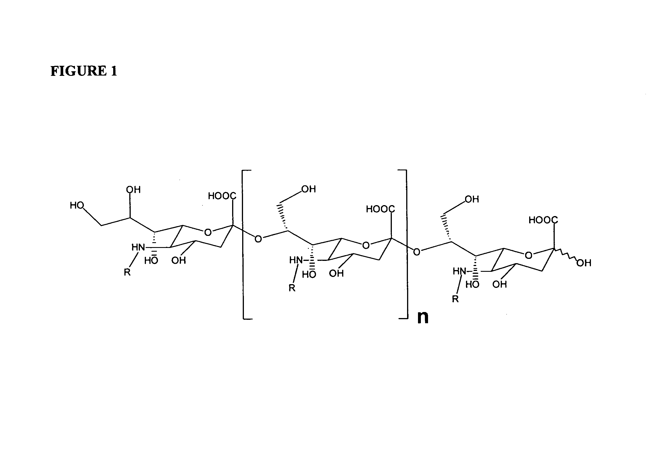 Polysaccharide derivatives and uses in induction of an immune response