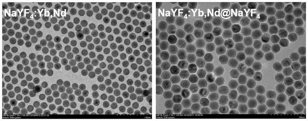 An immunochromatographic detection method based on near-infrared luminescent rare earth nanomaterials