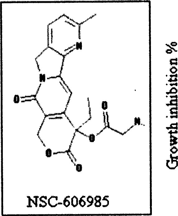 Application of camptothecin derivative in drug preparing process for treating marrow originate leukemia