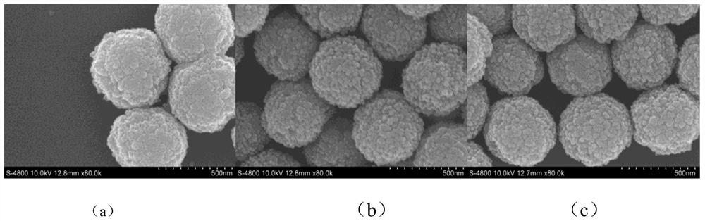 Nano bionic enhanced gram-positive bacterium capturing-separating agent as well as preparation method and application thereof