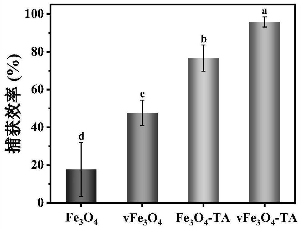 Nano bionic enhanced gram-positive bacterium capturing-separating agent as well as preparation method and application thereof