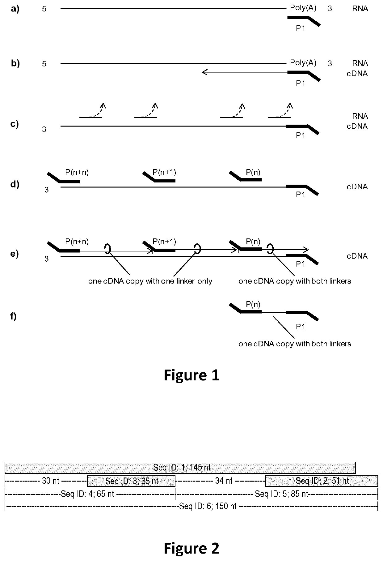 Copy number preserving RNA analysis method