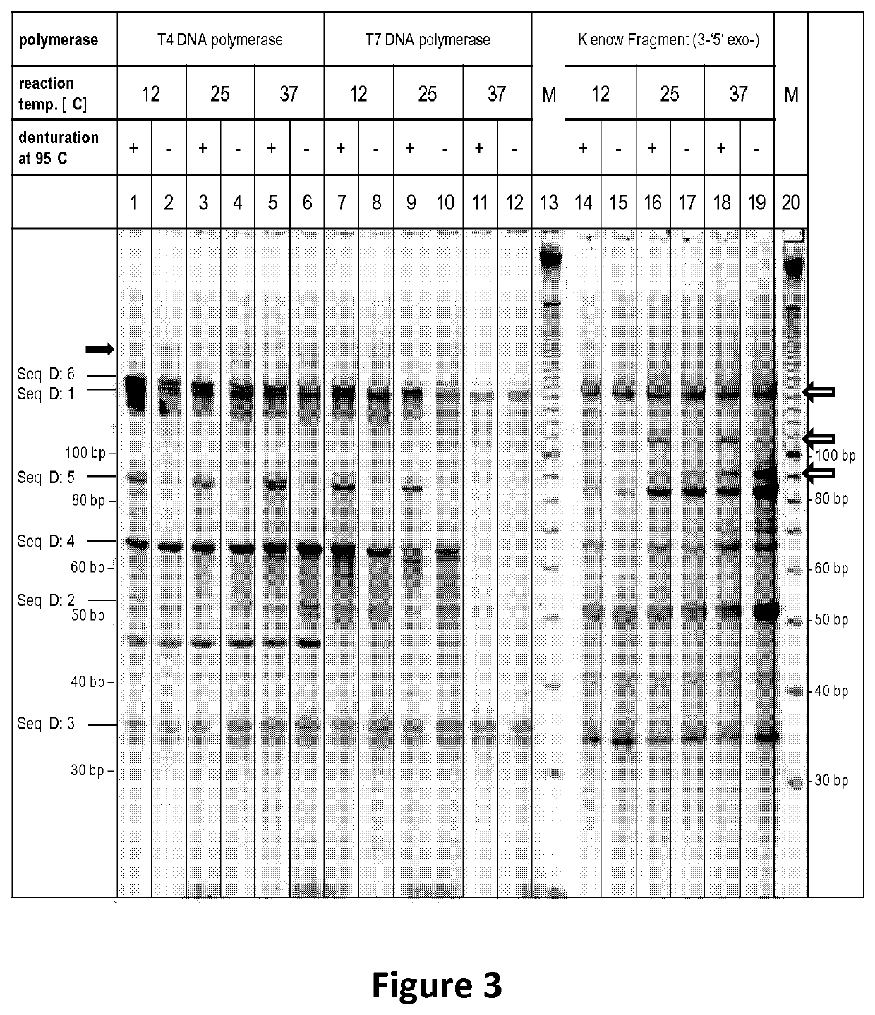 Copy number preserving RNA analysis method