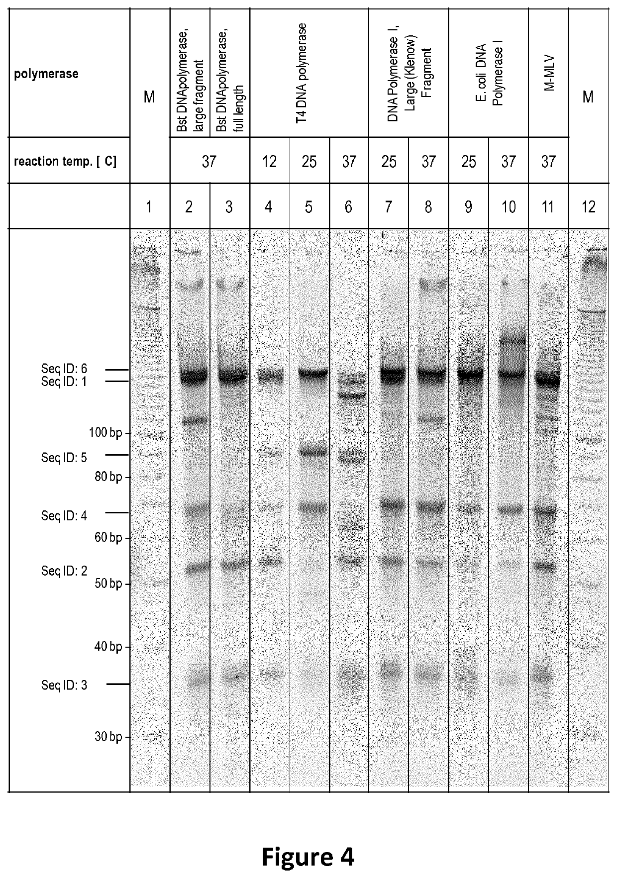 Copy number preserving RNA analysis method