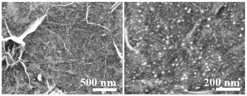 A kind of double carbon coupled transition metal nickel-based quantum dot electrocatalyst and preparation method thereof