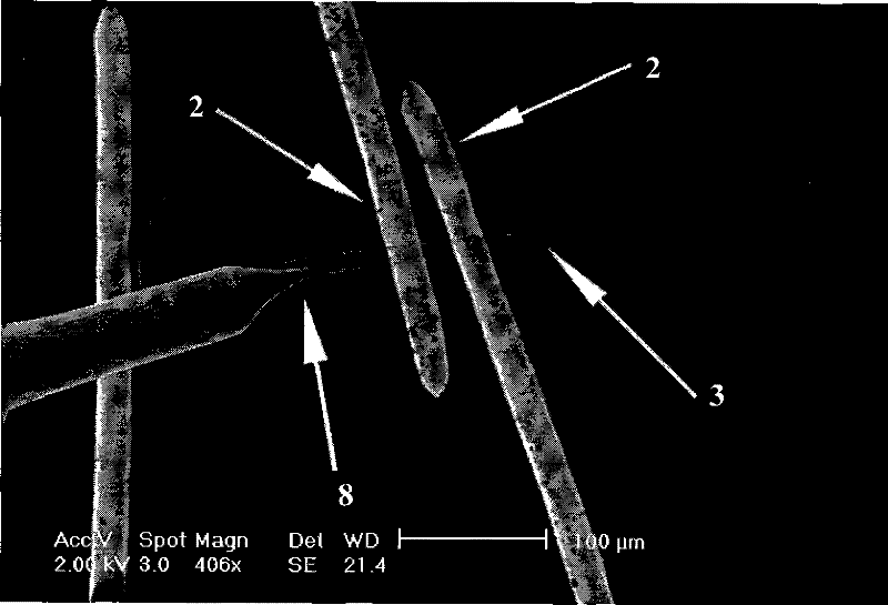 Method and system for measuring quasi one-dimensional nano-material Seebeck coefficient