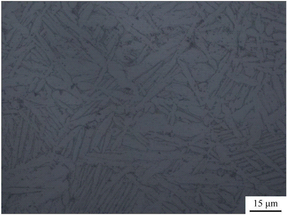 A Method of Controlling Grain Equiaxation to Improve the Plasticity of Ti20zr6.5al4v Alloy