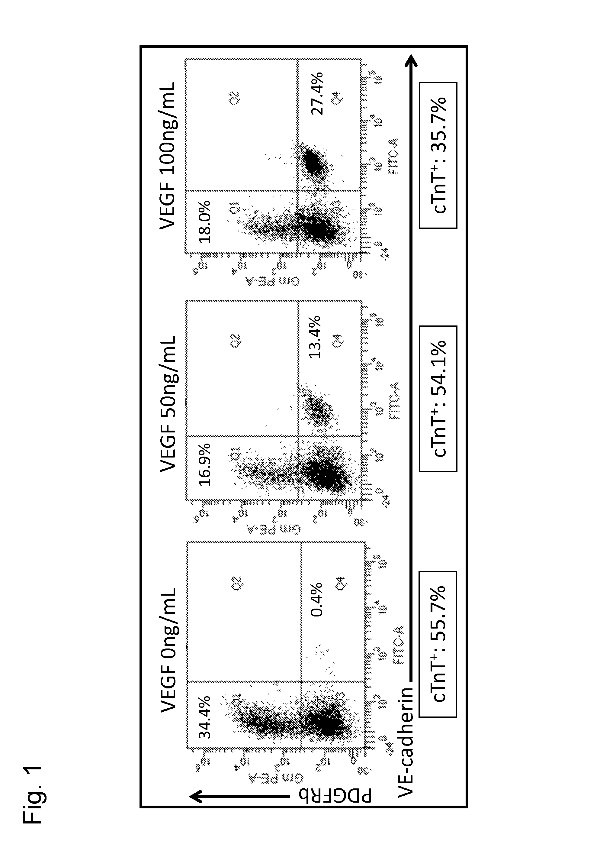 Method for producing mixed cell population of cardiomyocytes and vascular cells from induced pluripotent stem cell