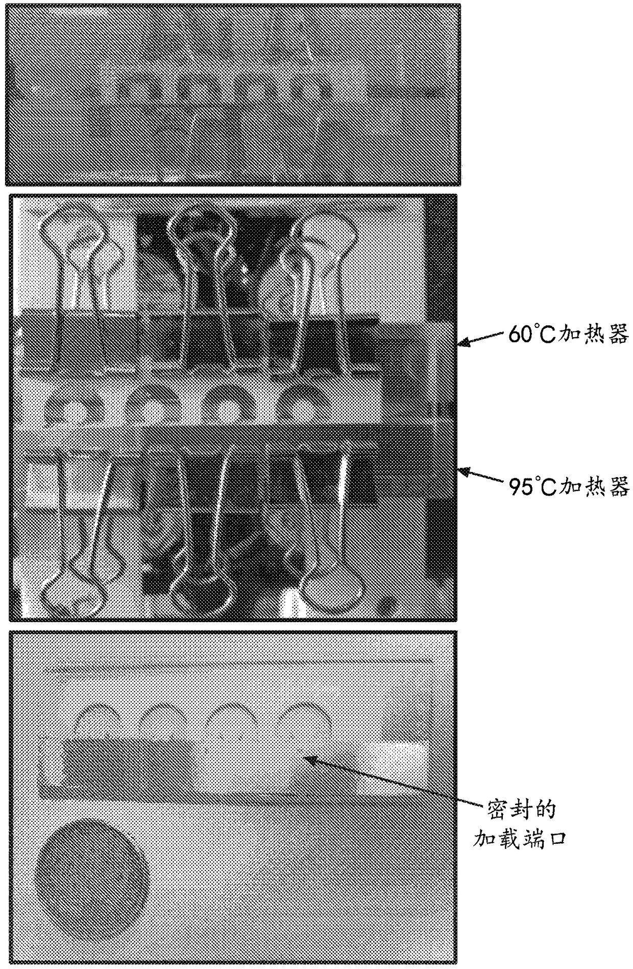 Surface-based detection of nucleic acid in a convection flow fluidic device