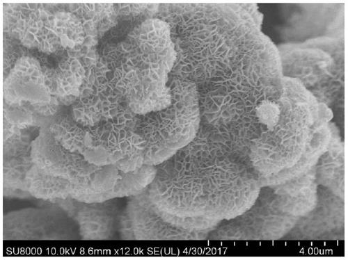Preparation method and application of MNO2 catalyst for deep mineralization of phenol wastewater at room temperature