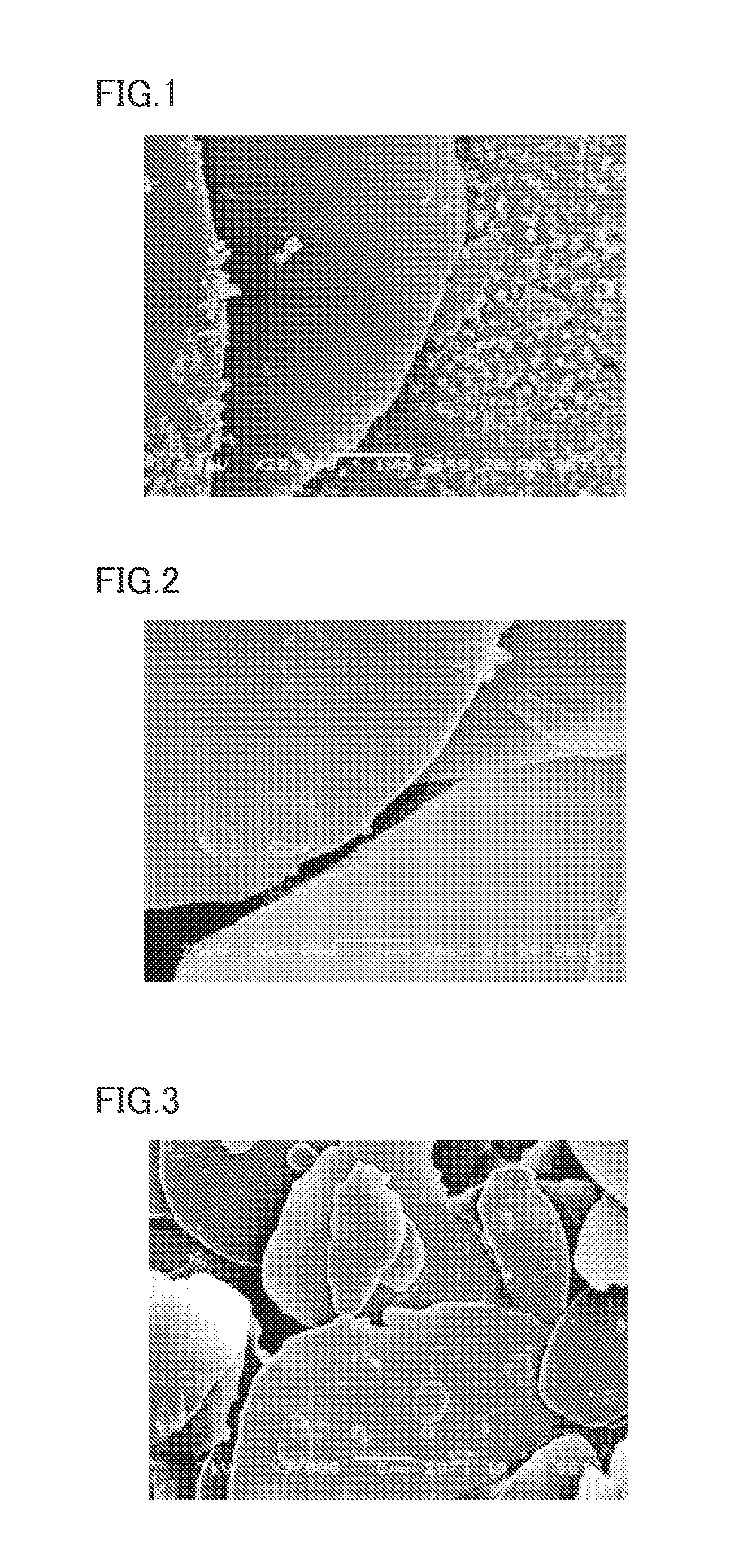 Flake pigment, powder paint containing the same, powder-coated film obtained by coating with the powder paint using triboelectrification electrostatic coating apparatus, painted product on which film is formed, and method of manufacturing flake pigment