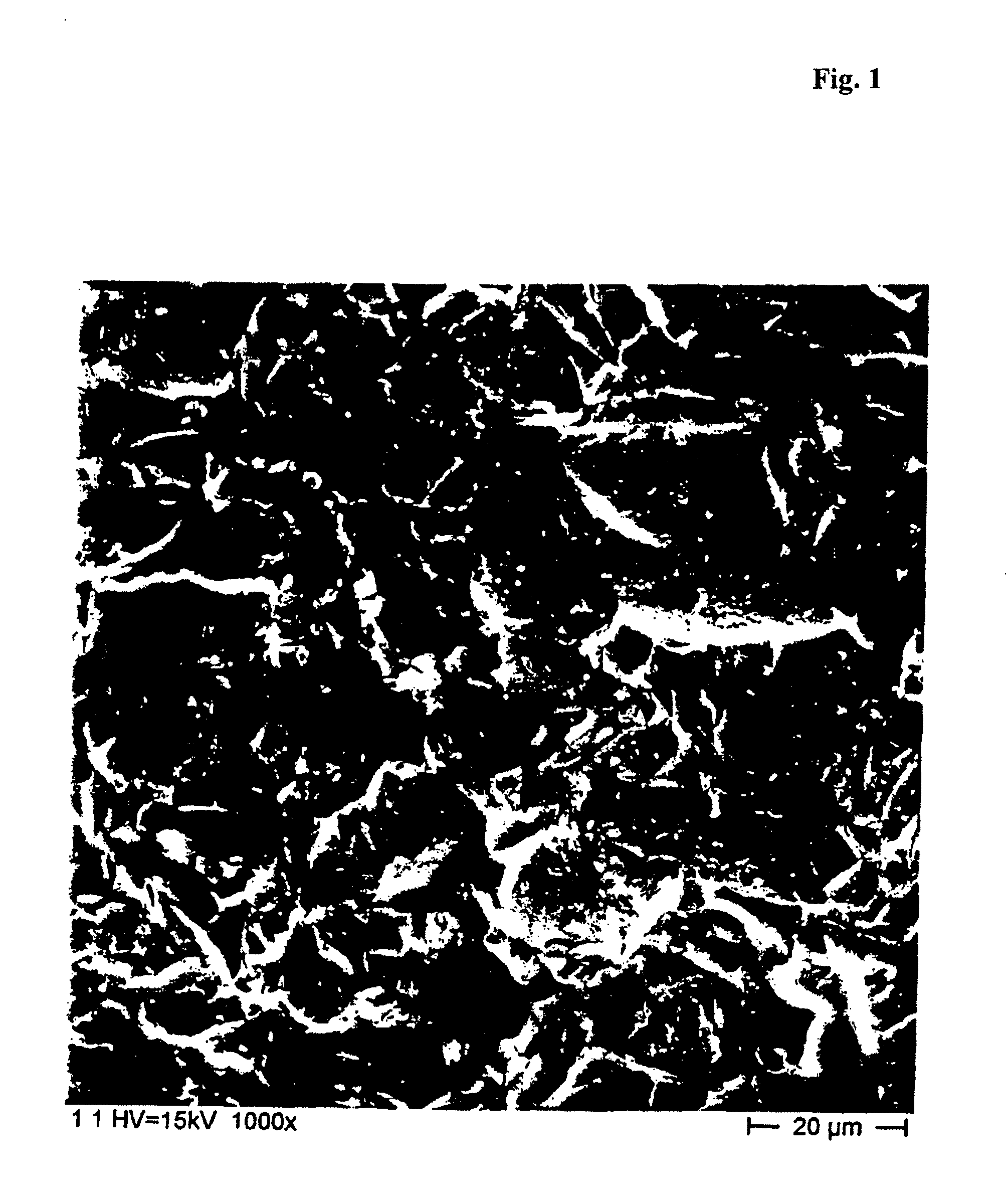 Method of Modifying Flat Glass Surface and Apparatus for Carrying Out the Method