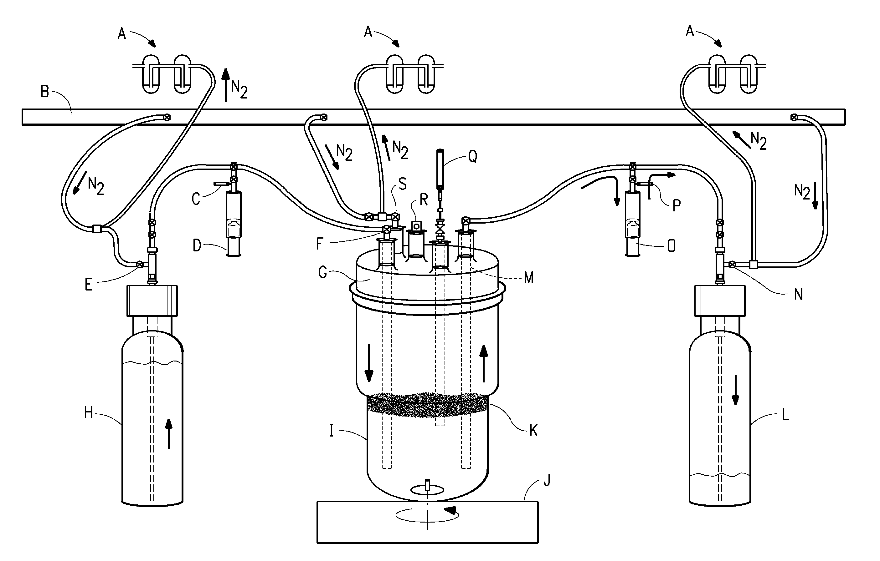 Method of in situ bioremediation of hydrocarbon-contaminated sites using an enriched anaerobic steady state  microbial consortium