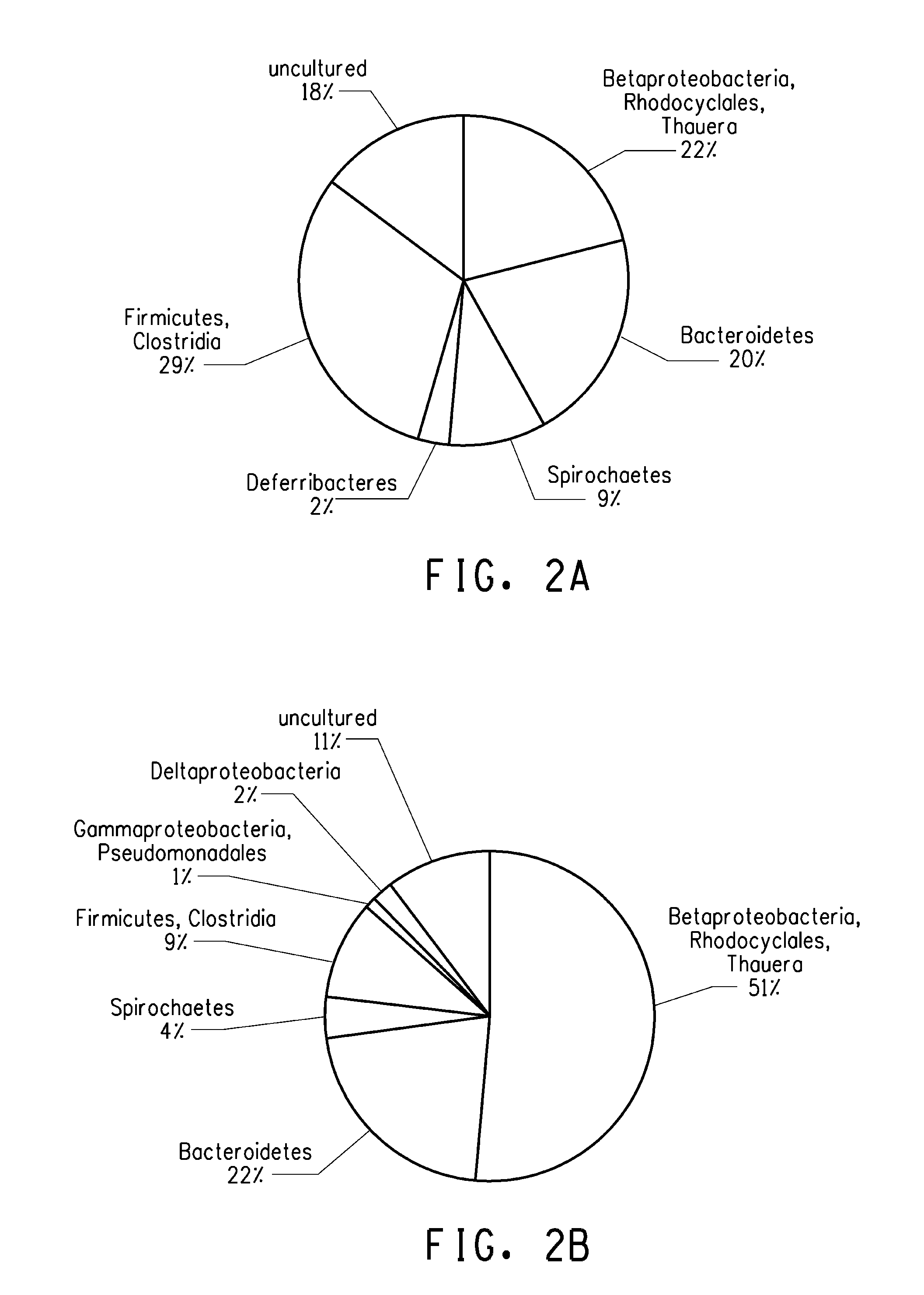 Method of in situ bioremediation of hydrocarbon-contaminated sites using an enriched anaerobic steady state  microbial consortium