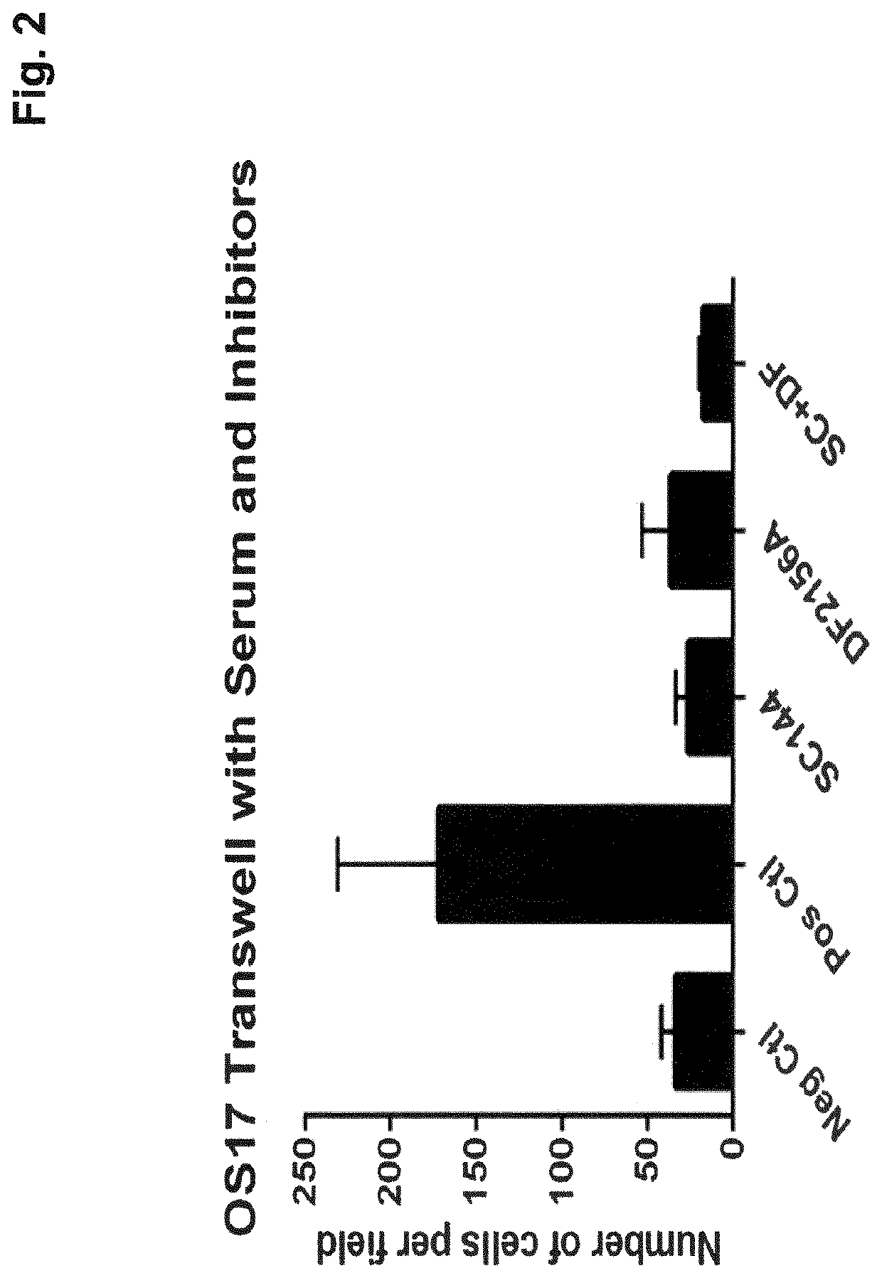 Il-8 inhibitors for use in the treatment of some sarcomas