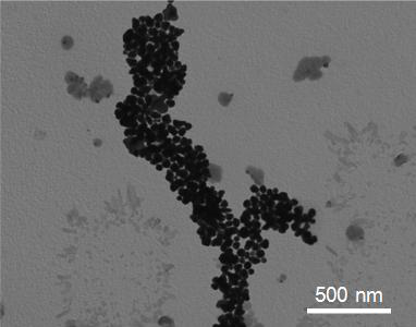 A method for preparing nano-gold assisted by imidazolium cation-modified carbon quantum dots