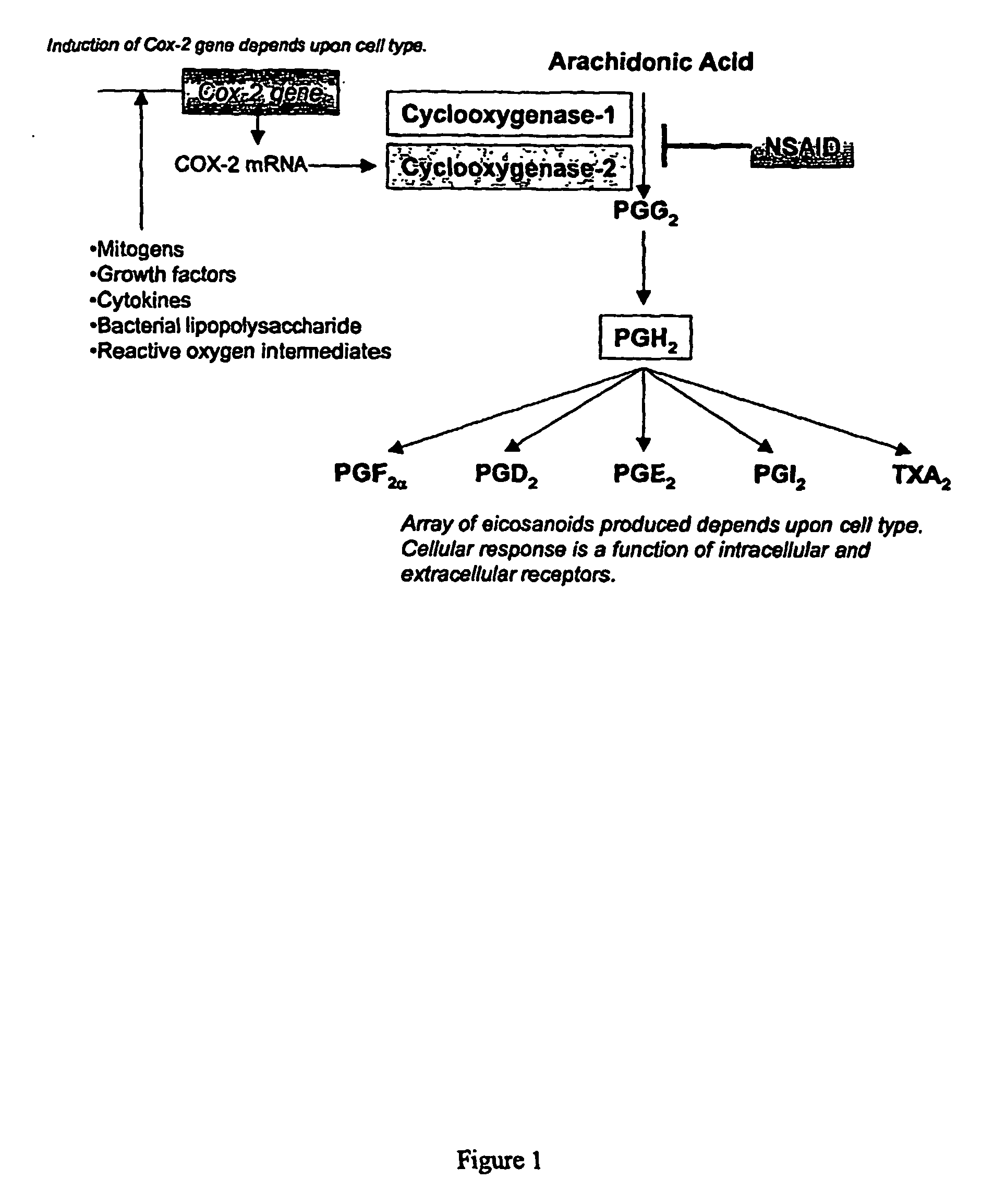 Anti-Inflammatory Pharmaceutical Compositions For Reducing Inflammation And The Treatment Or Prevention Of Gastric Toxicity