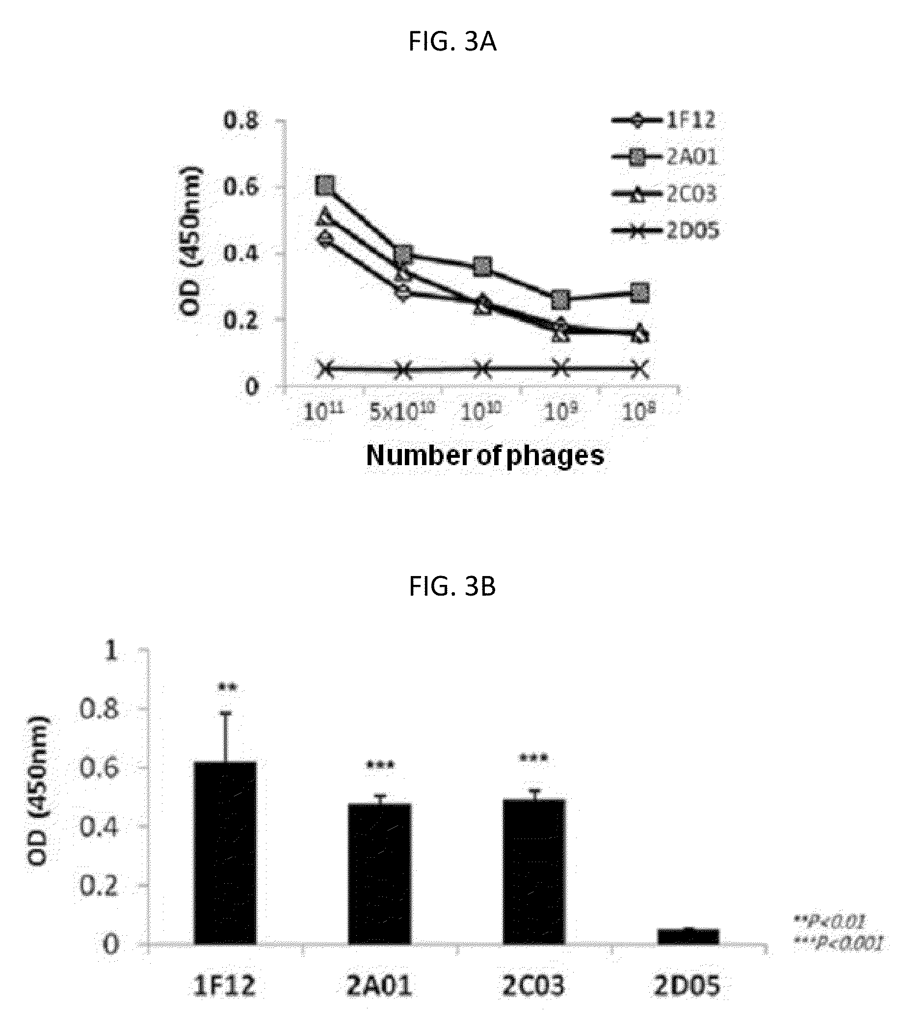 Antibodies cross-reactive to human and mouse c-Met and uses thereof