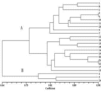 Breeding Methods for Preventing Gastrodia elata from Degenerating