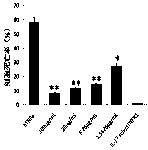 Fused polypeptide for IL-17 and TNF[alpha], and application thereof